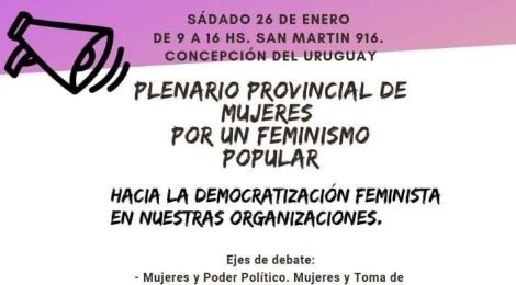 plenario provincial