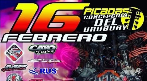picadas 17