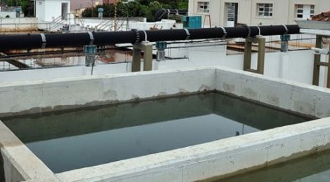 planta-de-agua-660x330 (1)